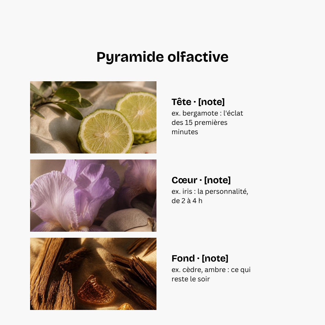 parfum-v2-4